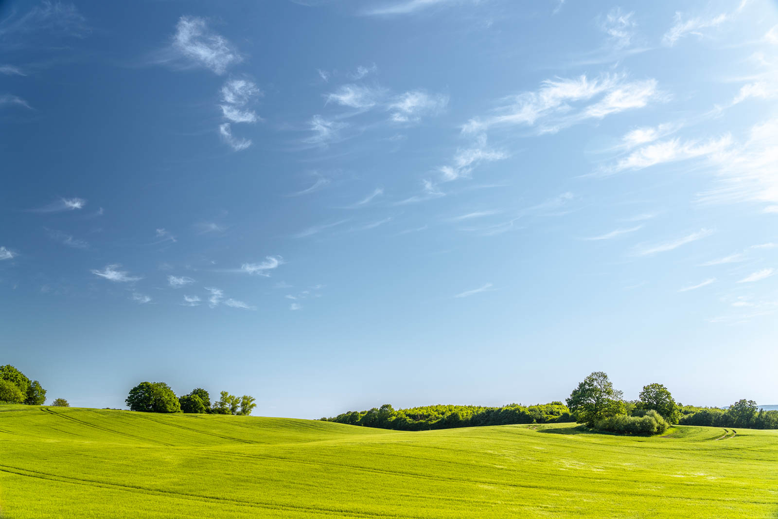 Feld, Holsteinische Schweiz