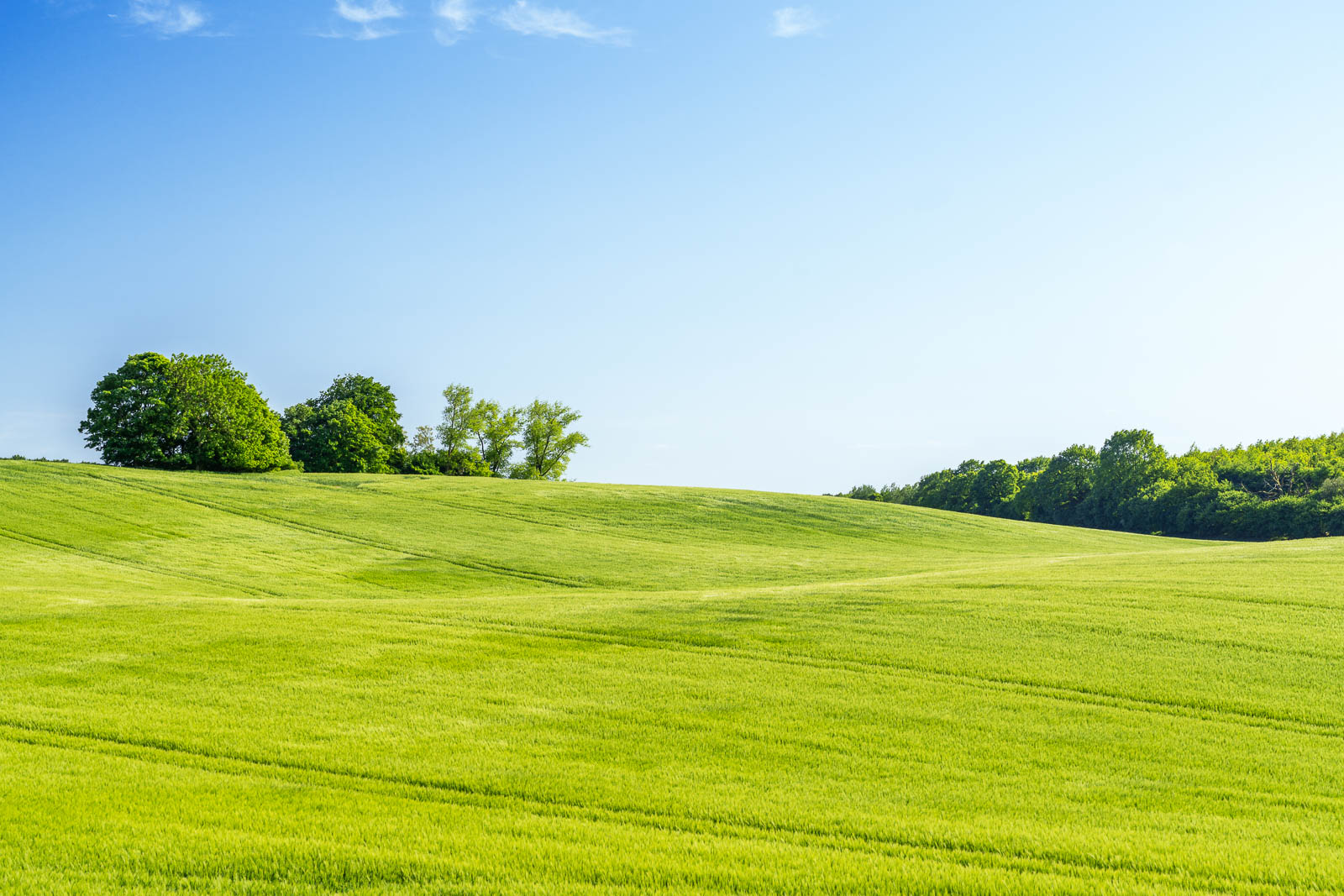 Feld, Holsteinische Schweiz