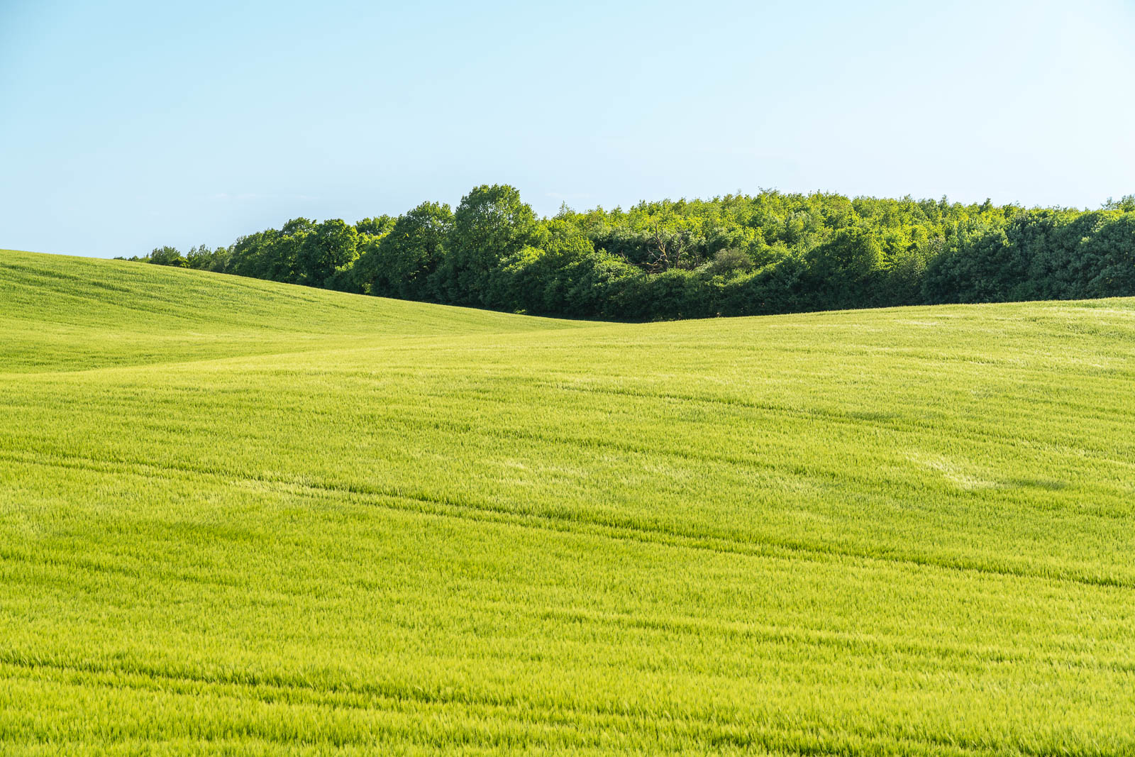Feld, Holsteinische Schweiz