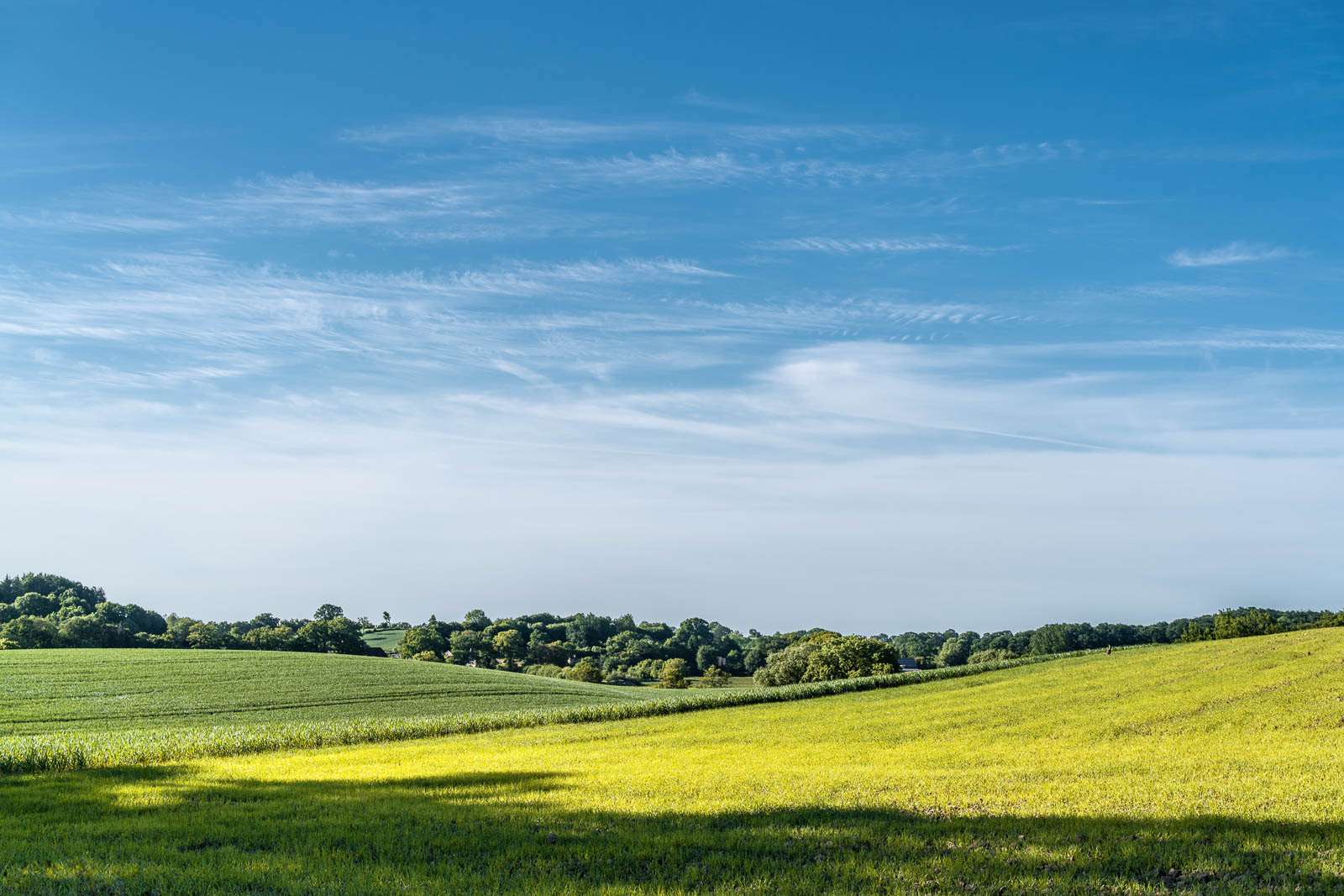 Landschaft bei Grebin