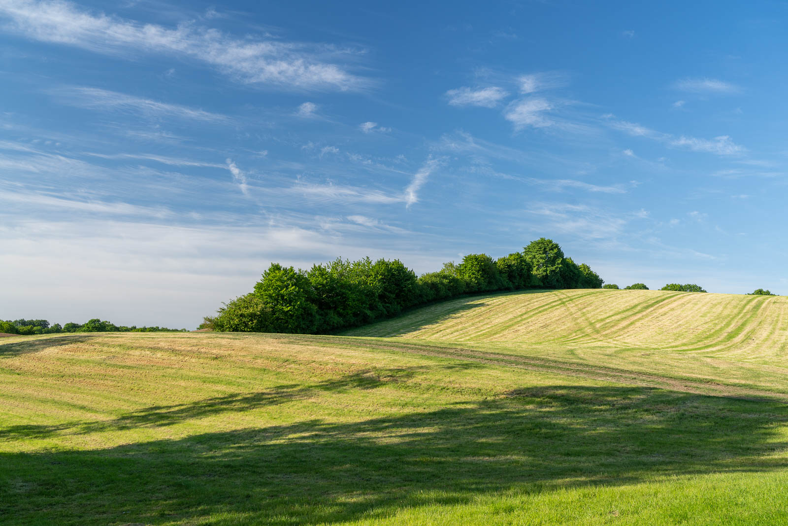 Landschaft bei Grebin