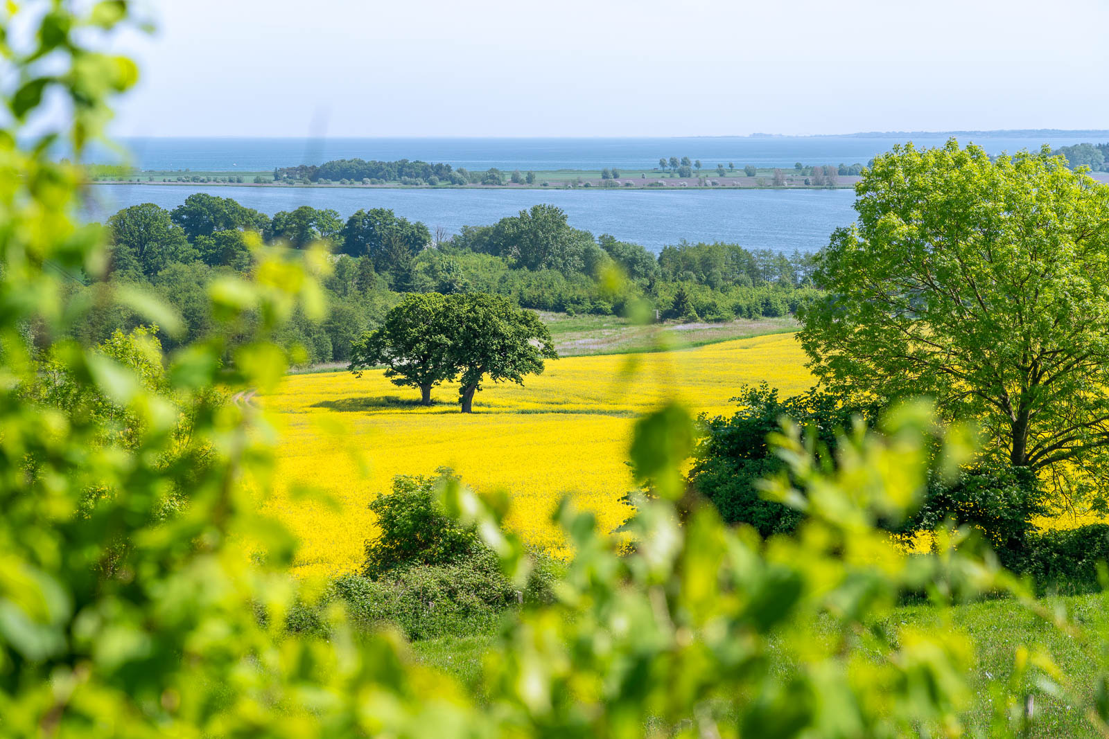Großer Binnensee, Ostsee