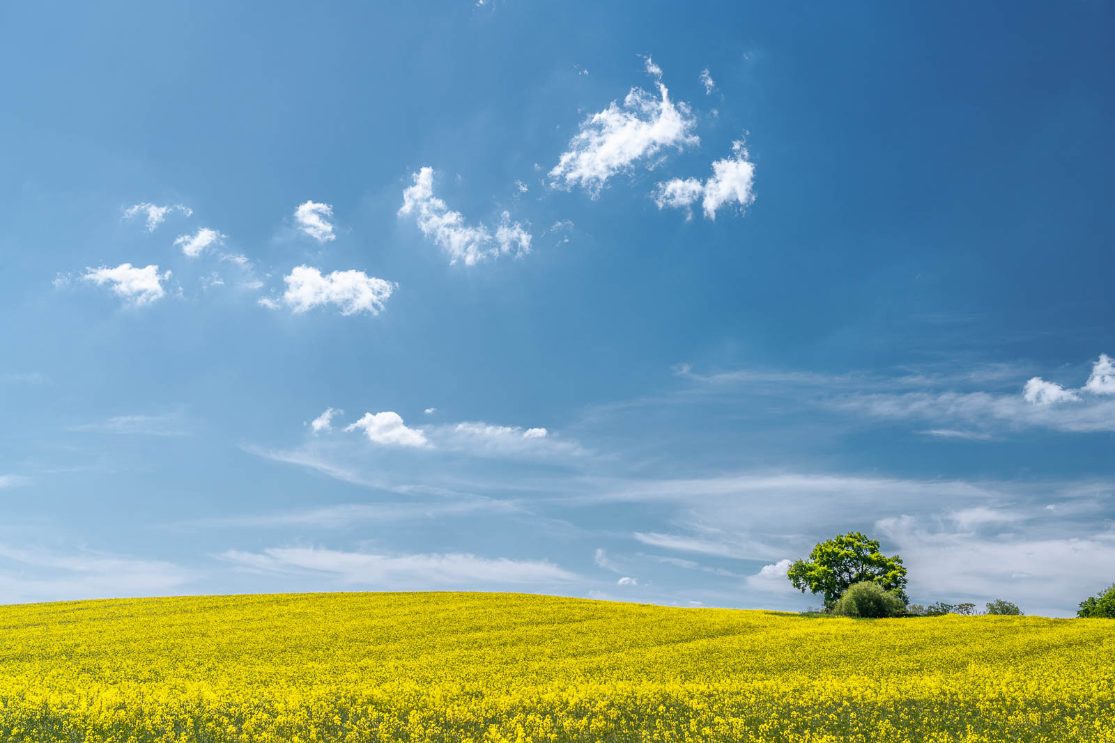 Landschaft, Holsteinische Schweiz