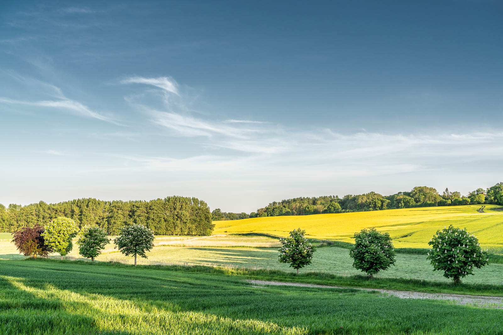 Landschaft, Holsteinische Schweiz