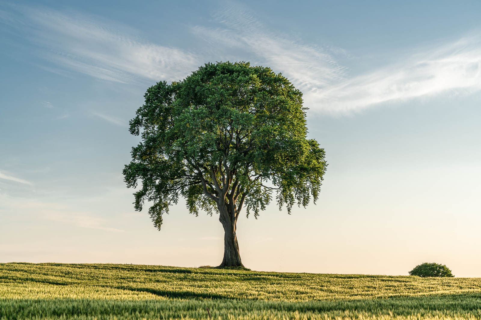 Landschaft, Holsteinische Schweiz
