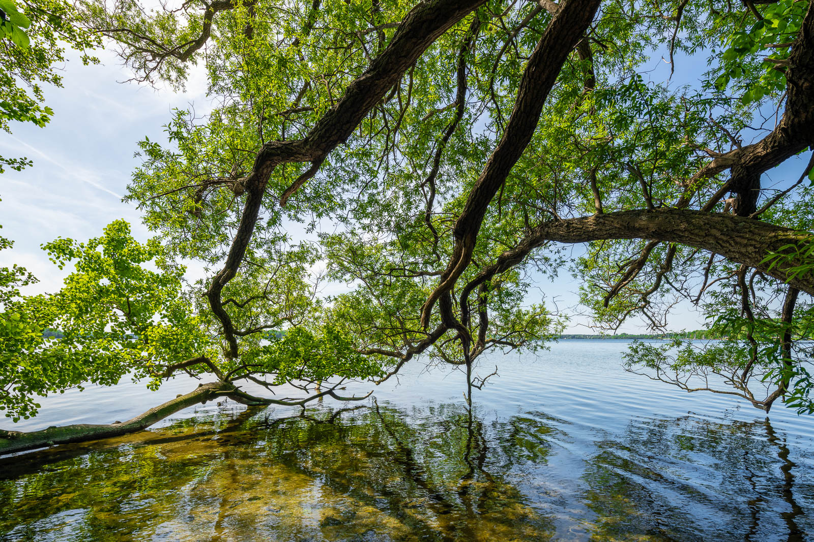 Prinzeninsel, Plöner See