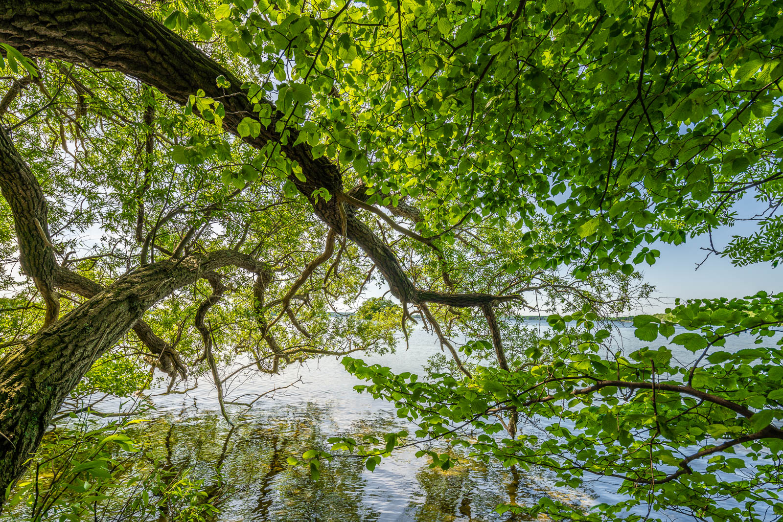 Prinzeninsel, Plöner See
