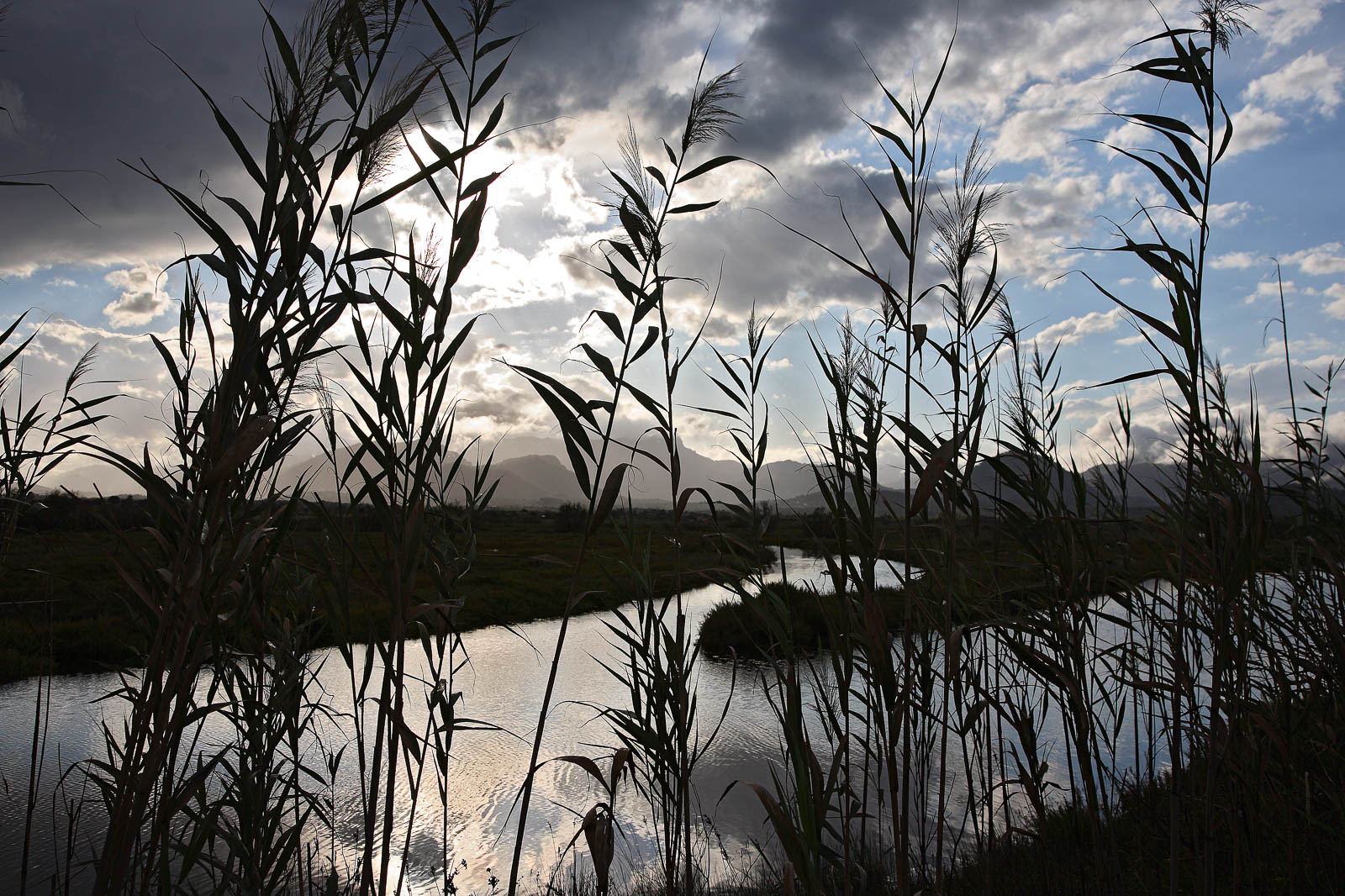 Parc Natural de s'Albufera
