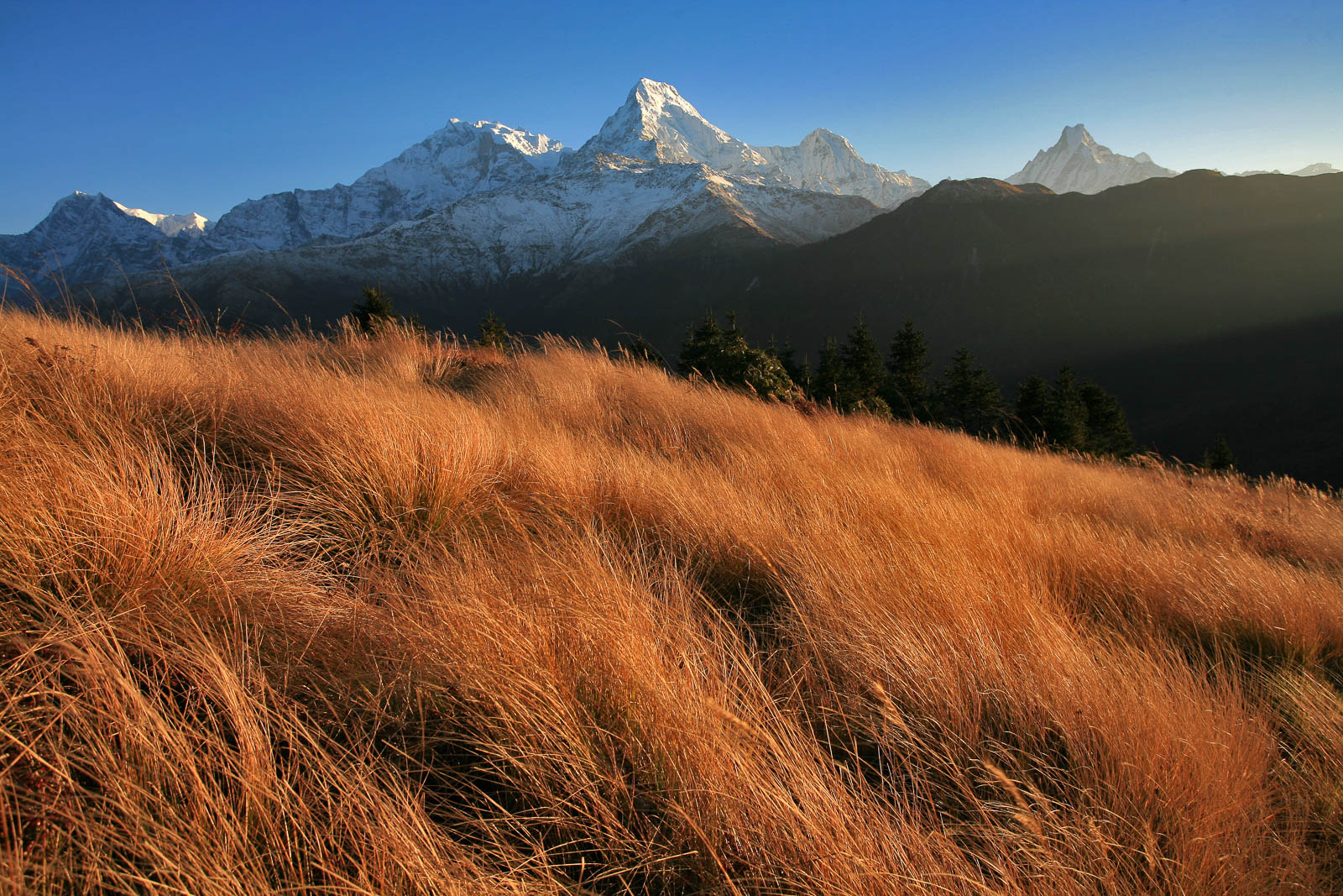 Sonnenaufgang Annapurna South, 7219 m