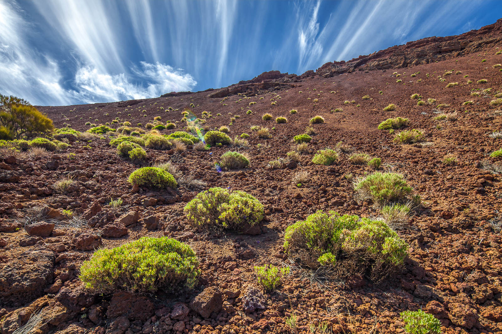Caldera de las Cañadas