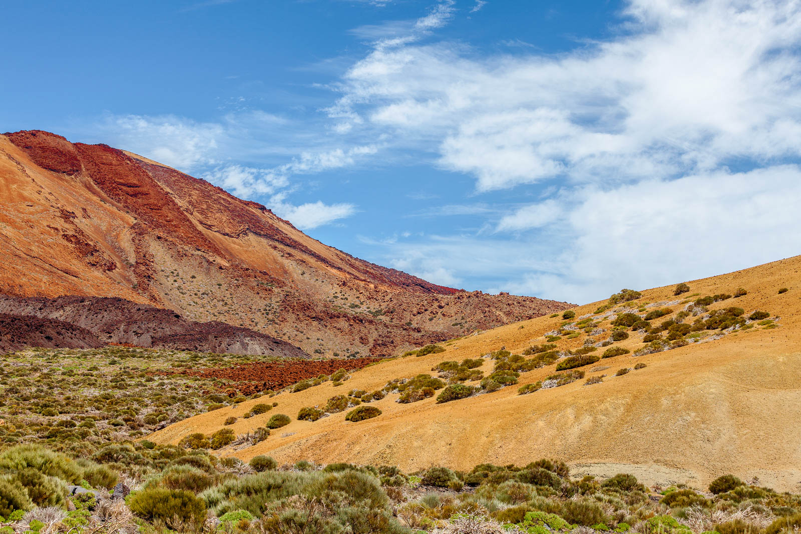Parque Nacional del Teide