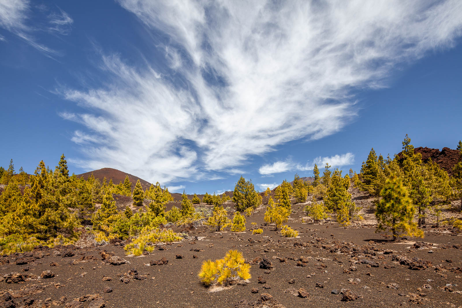 Pico del Teide